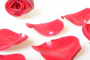 reserva tu boda en hostal del sol